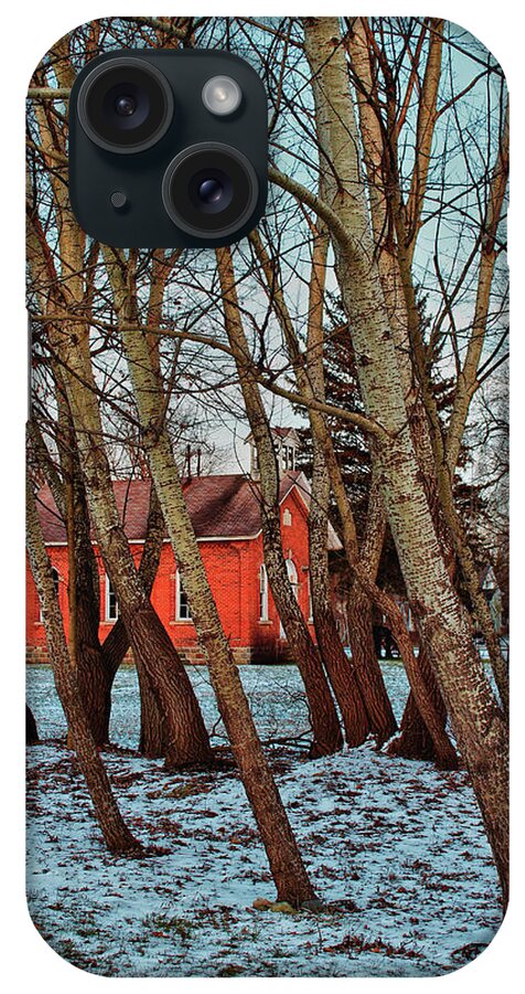 Leaning Trees iPhone Case featuring the photograph The Leaning by Rachel Cohen