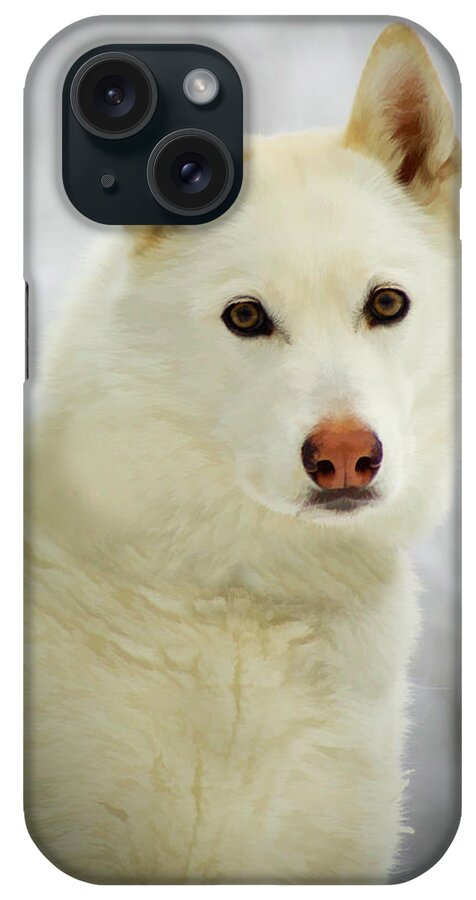 Husky iPhone Case featuring the photograph The Stare by Joye Ardyn Durham
