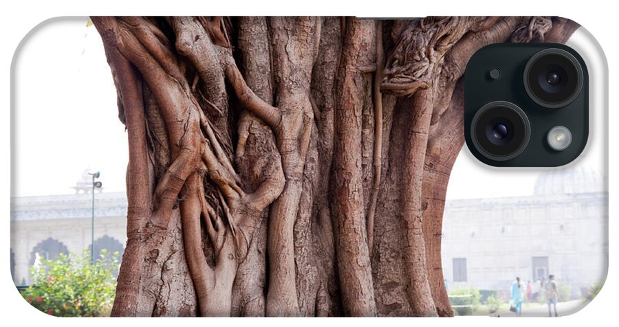 Tree iPhone Case featuring the photograph The twisted and gnarled stump and stem of a large tree inside the Qutub Minar Compound by Ashish Agarwal