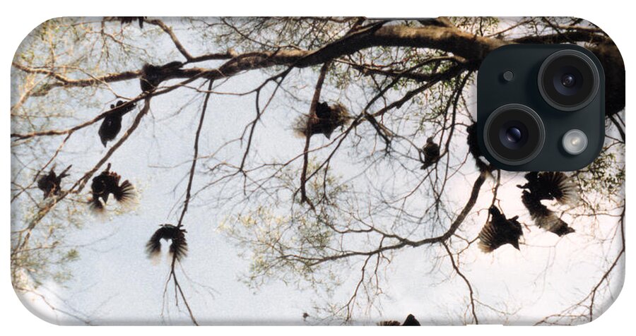 Collinsville iPhone Case featuring the photograph The Winged Tree by Vicki Ferrari