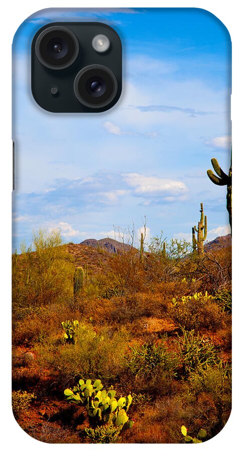 Saguaro Cactus iPhone Case featuring the photograph The Witness by Jephyr Art