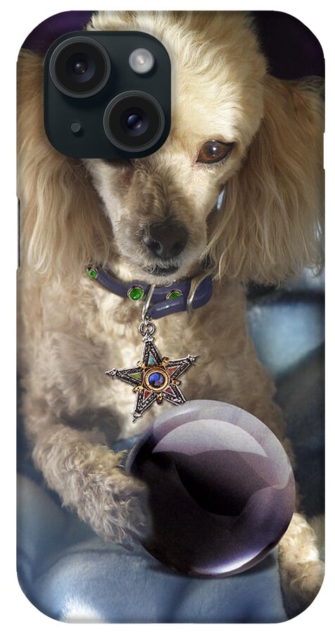 Dog iPhone Case featuring the photograph The Wizard of Dogs by Diana Haronis
