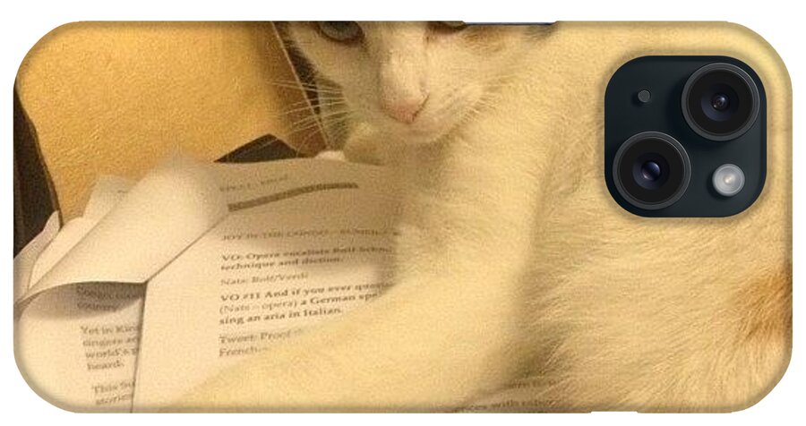 iPhone Case featuring the photograph This Hard-working Feline Reads Scripts by Vidya S