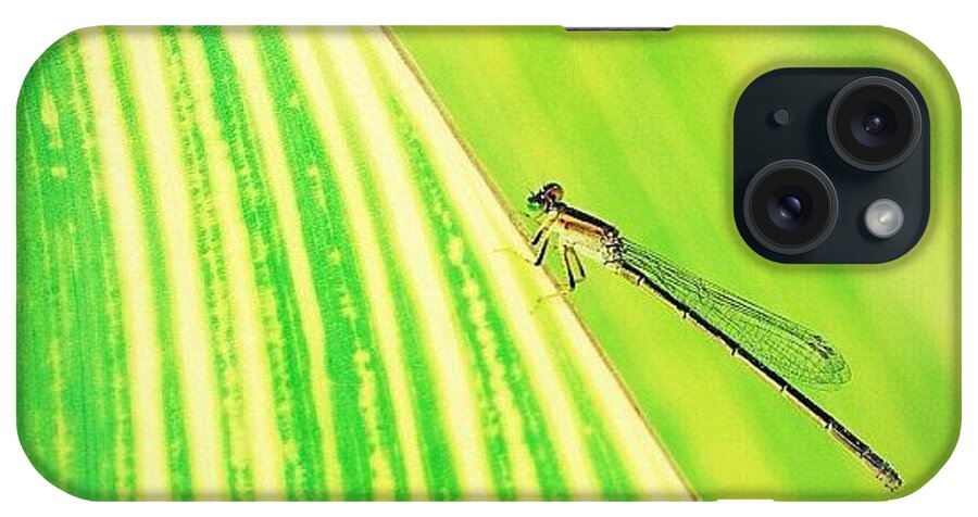 Macro iPhone Case featuring the photograph Thread dragonfly by Akira Mizutani