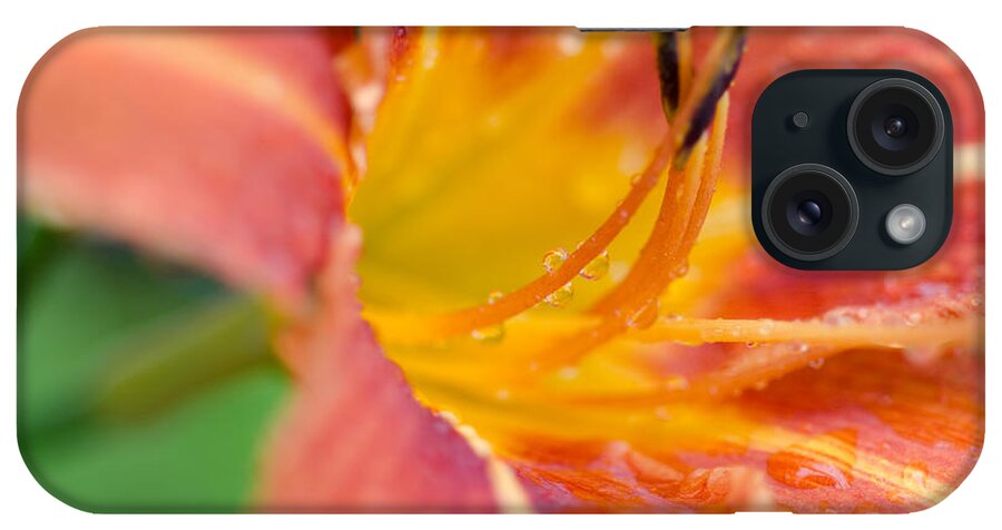 Raindrops iPhone Case featuring the photograph Tiger Lily Rain by Margaret Pitcher