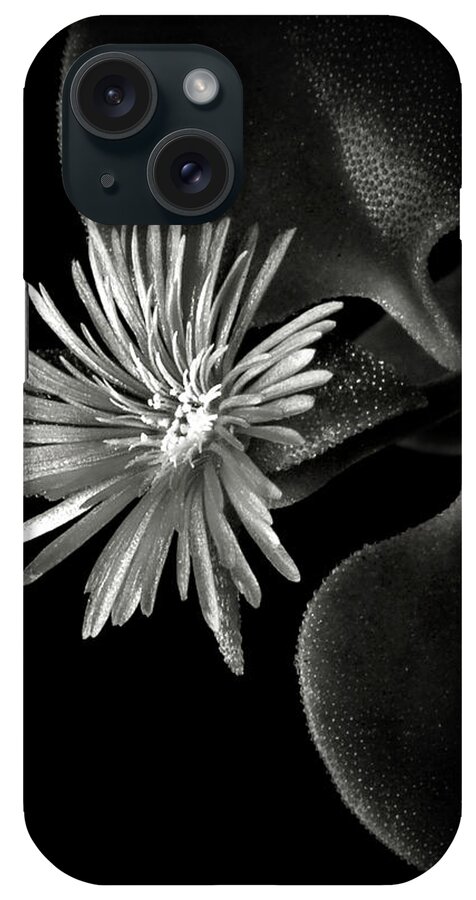 Flower iPhone Case featuring the photograph Tiny Ice Plant in Black and White by Endre Balogh