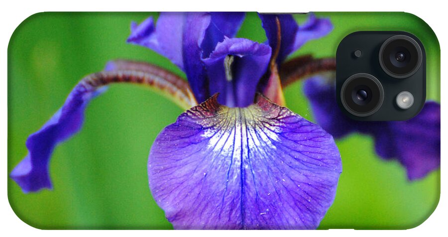Beautiful iPhone Case featuring the photograph Tiny Purple Iris by Jai Johnson