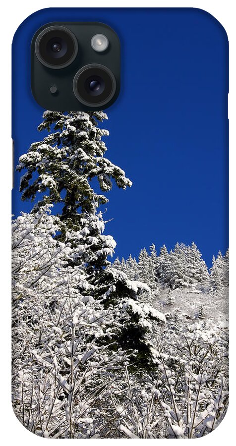 Tree iPhone Case featuring the photograph Towering Tree On Snow Covered Mountain by Tracie Schiebel