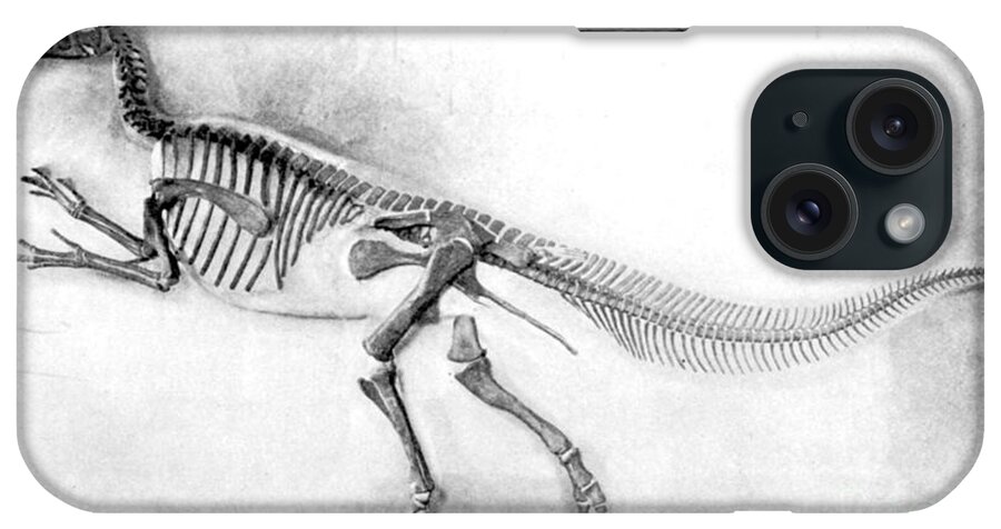 Dinosaur iPhone Case featuring the photograph Trachodon by Science Source