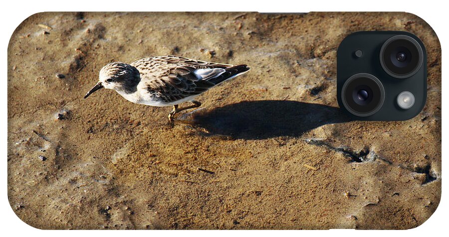 Roena King iPhone Case featuring the photograph Tracks In The Mud by Roena King