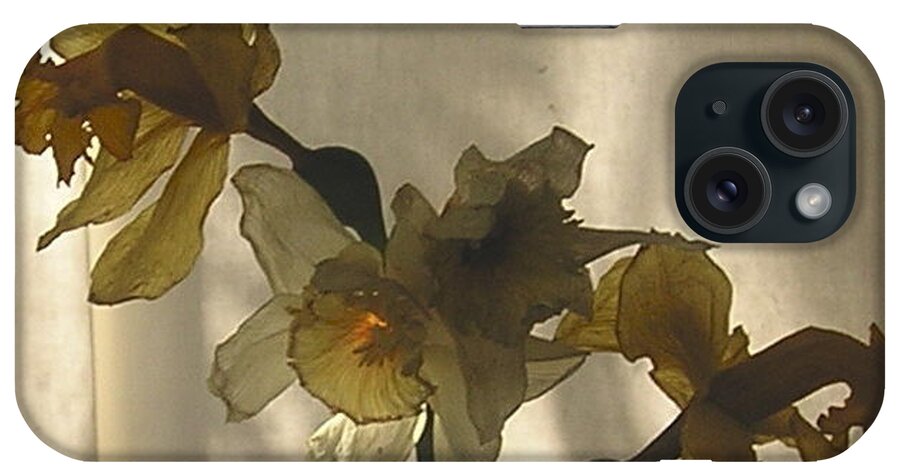  iPhone Case featuring the photograph Translucent by Roger Swezey