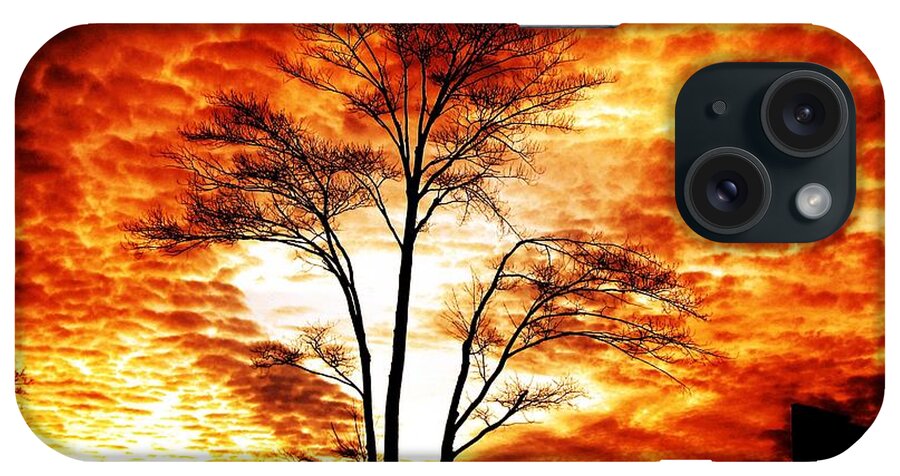 Tree iPhone Case featuring the photograph Tree Light by Ms Judi