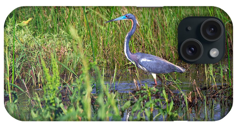 Tricolored iPhone Case featuring the photograph Tricolored Heron by Louise Heusinkveld