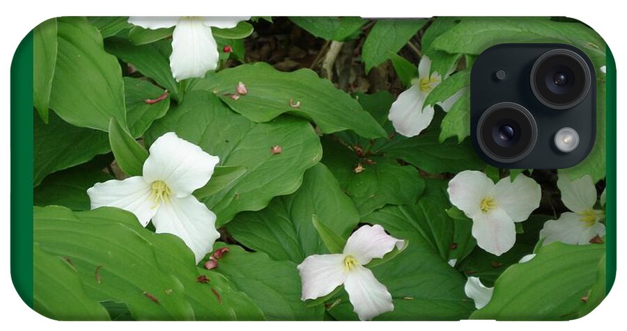 Flower iPhone Case featuring the photograph Trilliums-I by Patricia Overmoyer