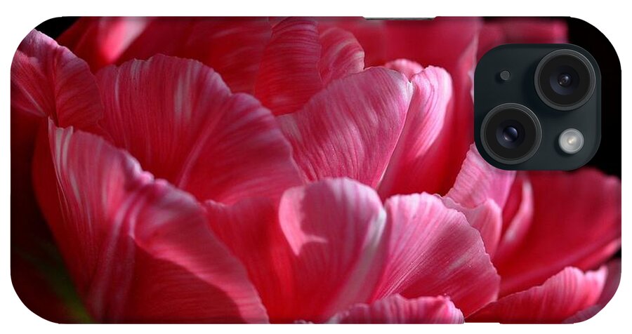 Ombre iPhone Case featuring the photograph Tulipe #2 by Sylvie Leandre
