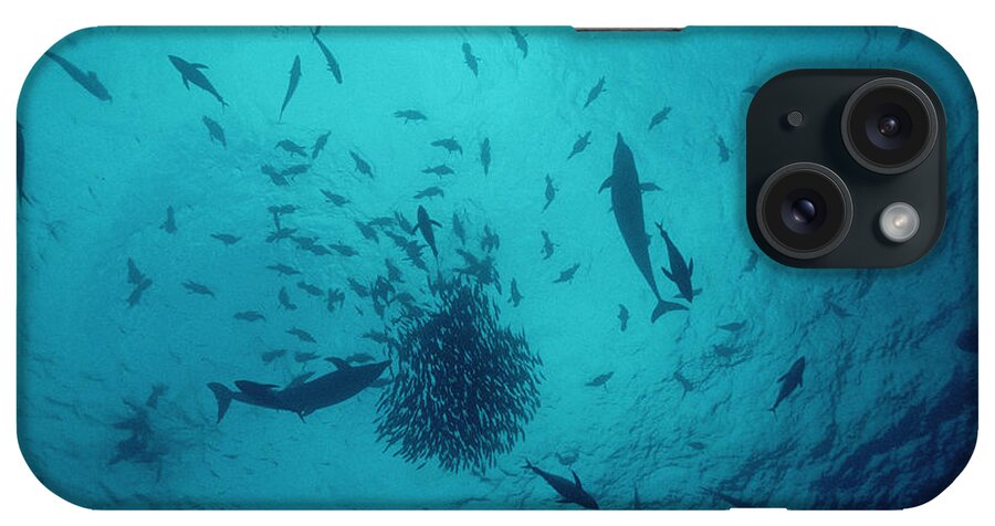 00106453 iPhone Case featuring the photograph Tuna And Dolphins Feeding On Baitball by Flip Nicklin