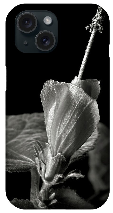 Flower iPhone Case featuring the photograph Turk's Cap in Black and White by Endre Balogh