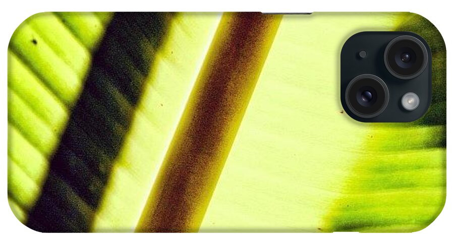 Thailand iPhone Case featuring the photograph Turning Over A New Leaf #thailand #leaf by A Rey