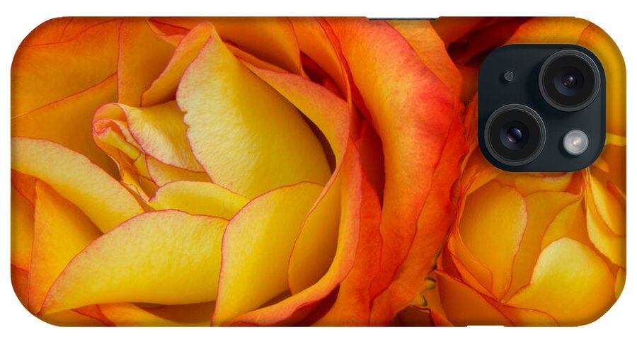 Rose iPhone Case featuring the photograph Twin Yellow Roses by Ann Garrett
