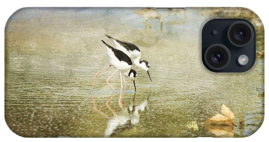 Black-necked Stilts iPhone Case featuring the photograph Two Black-Necked Stilts in Pond by Susan Gary