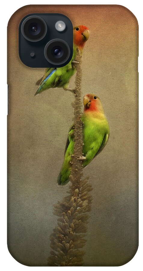Peach Faced Lovebird iPhone Case featuring the photograph Up and Away We Go by Saija Lehtonen