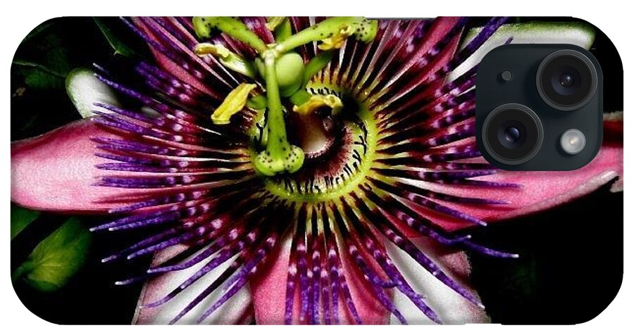 Purple iPhone Case featuring the photograph Vibrant Blast by Kim Galluzzo