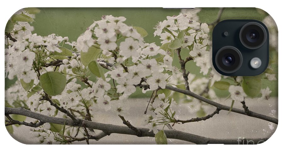 Pink iPhone Case featuring the photograph Vintage Spring by Traci Cottingham
