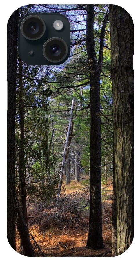 Hdr iPhone Case featuring the photograph Walk In The Forest by Greg DeBeck