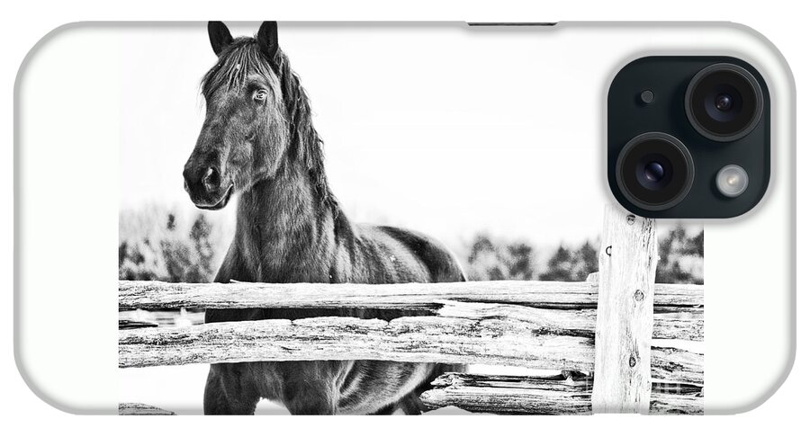 Horse iPhone Case featuring the photograph Watching Close by Traci Cottingham