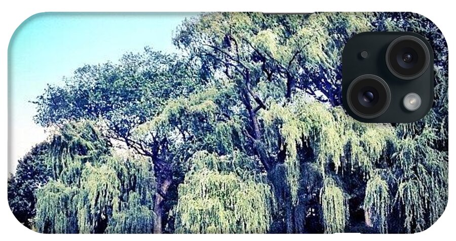 Beautiful iPhone Case featuring the photograph Weeping Willow by Natasha Marco