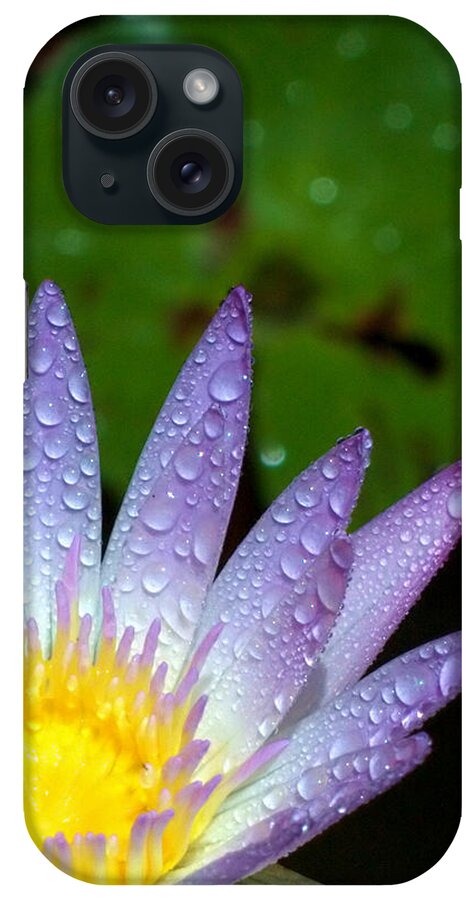 Water Lily iPhone Case featuring the photograph Wet Water Lily by Farol Tomson