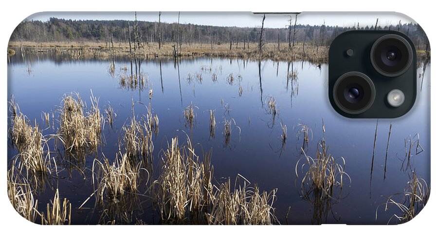 Bog iPhone Case featuring the photograph Wetland Schwenninger Moos by Matthias Hauser