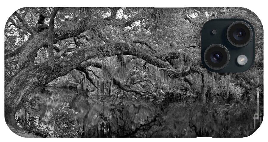 Tree iPhone Case featuring the photograph White City Oak Pano by Larry Nieland