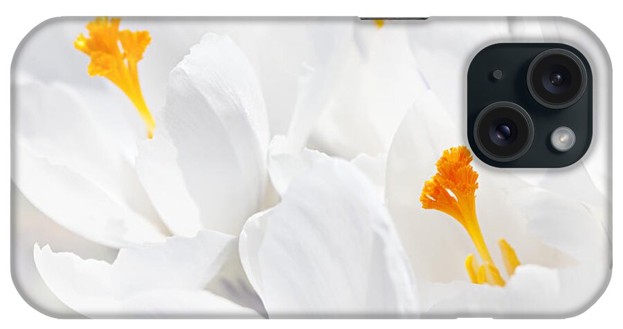 Crocus iPhone Case featuring the photograph White crocus flowers by Elena Elisseeva