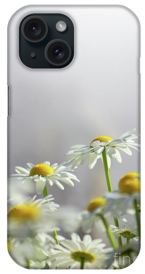 Agriculture iPhone Case featuring the photograph White Daisies by Carlos Caetano