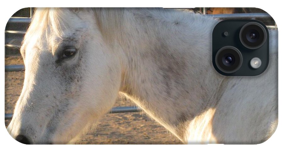 Horse iPhone Case featuring the photograph White Horse by Sue Halstenberg