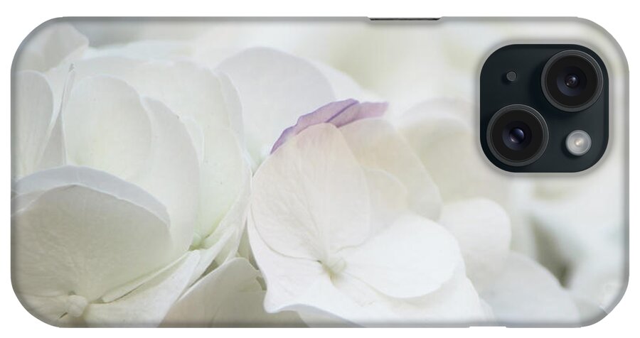 White iPhone Case featuring the photograph White Hydrangea by Diana Haronis