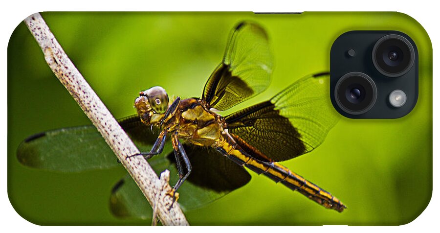 Widow Dragonfly iPhone Case featuring the photograph Widow in Waiting by Barry Jones