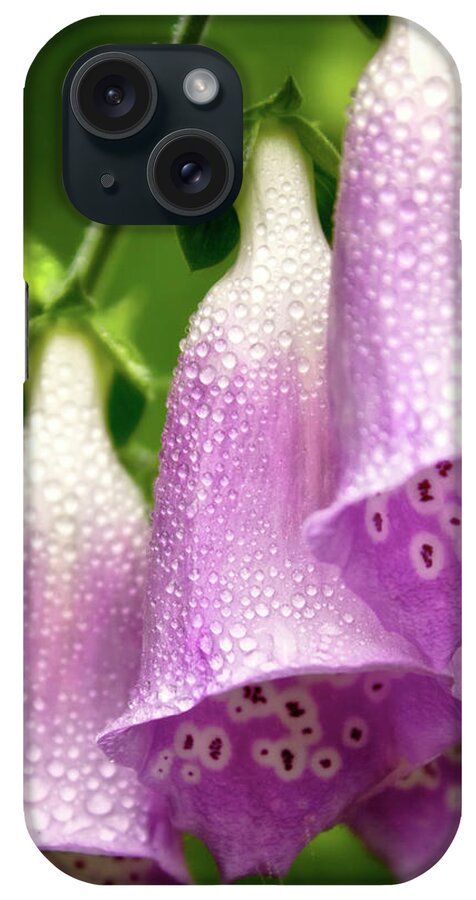 Wildflowers iPhone Case featuring the photograph Wild Foxglove by Albert Seger