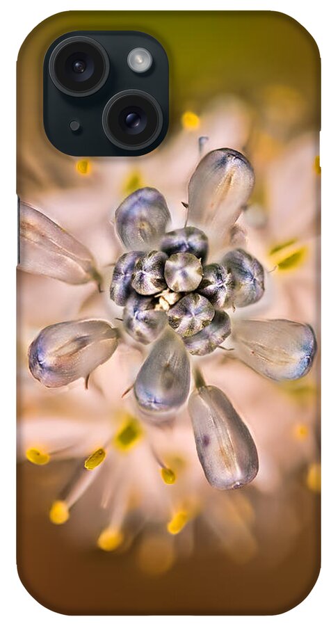 2012 iPhone Case featuring the photograph Wild Hyacinth by Robert Charity