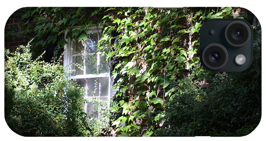 Window iPhone Case featuring the photograph Window And Vines by Steve Somerville