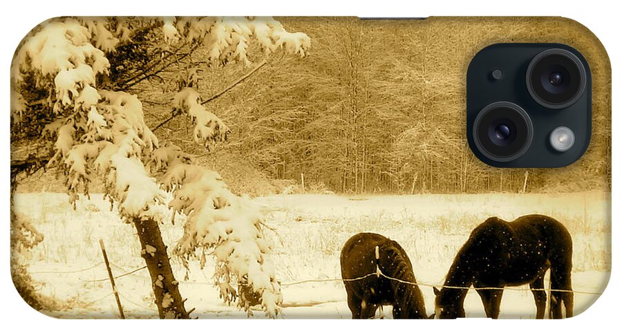 Landscape iPhone Case featuring the photograph Winter Grazing by Arthur Barnes