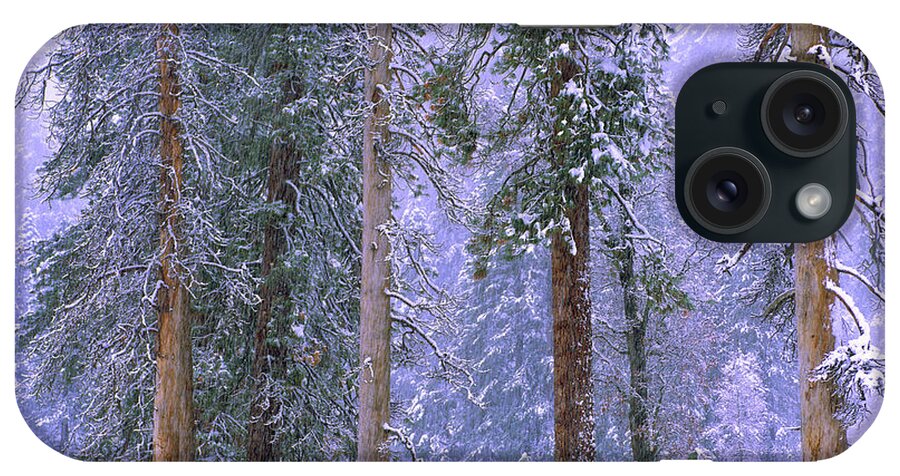 00176703 iPhone Case featuring the photograph Winter In Yosemite National Park by Tim Fitzharris