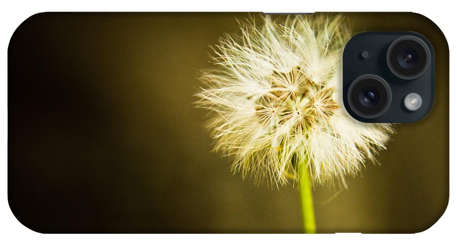 Dandelion iPhone Case featuring the photograph Wishes by Sara Frank