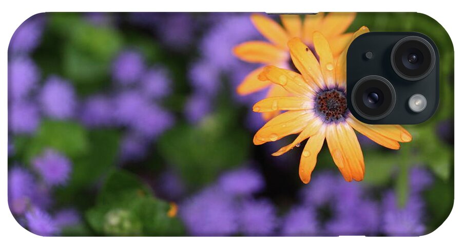 Flowers iPhone Case featuring the photograph Yellow and Purple by Rick Berk