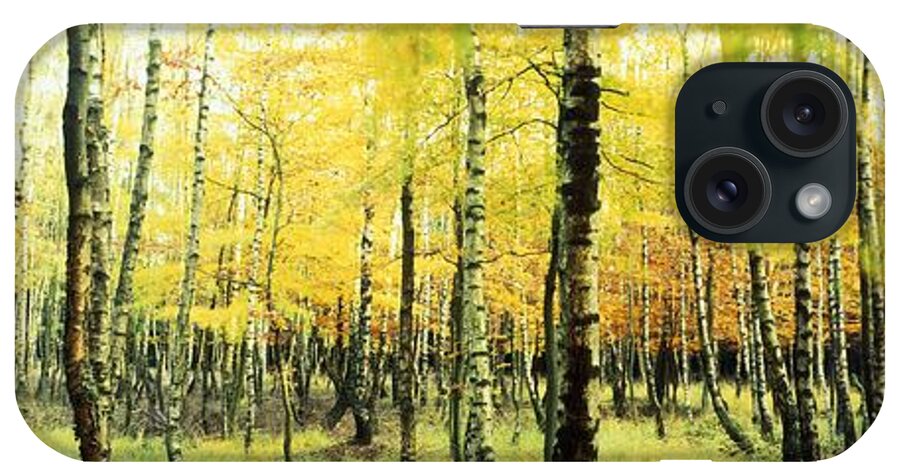 Nature iPhone Case featuring the photograph Yellow birches by Ulrich Kunst And Bettina Scheidulin