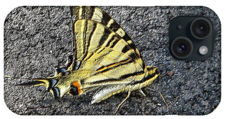 Yellow iPhone Case featuring the photograph Yellow butterfly by Manuela Constantin