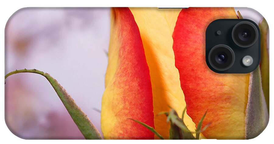 Yellow Rose iPhone Case featuring the photograph Yellow Orange Rose by Mike McGlothlen
