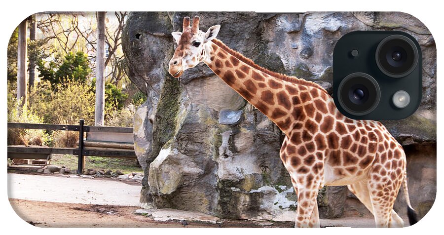 Photograph iPhone Case featuring the photograph Young Giraffe by Bob and Nancy Kendrick