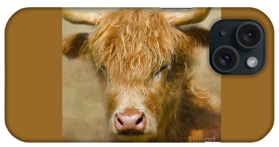 Highland Cow iPhone Case featuring the photograph Dozy Highlander by Linsey Williams